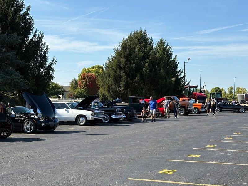 cruise in