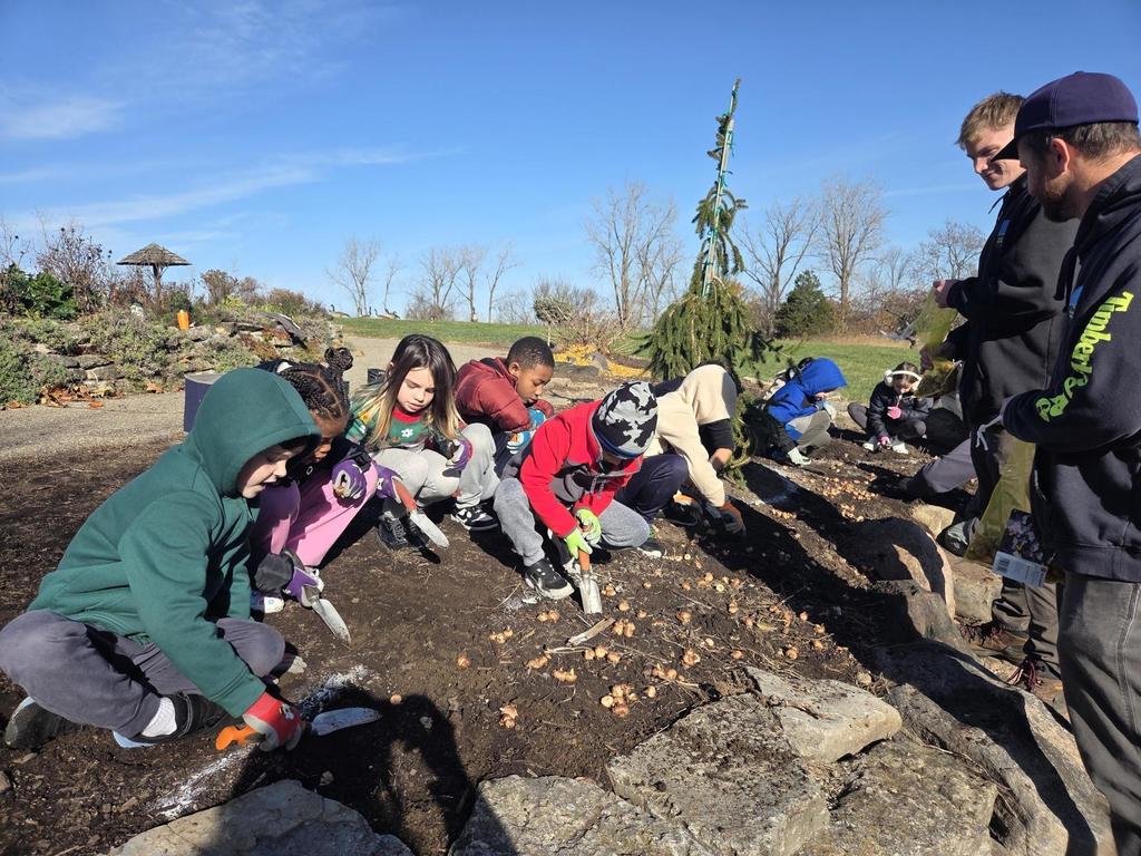 Bauer 2nd Graders plant bulbs at Cox Arboretum