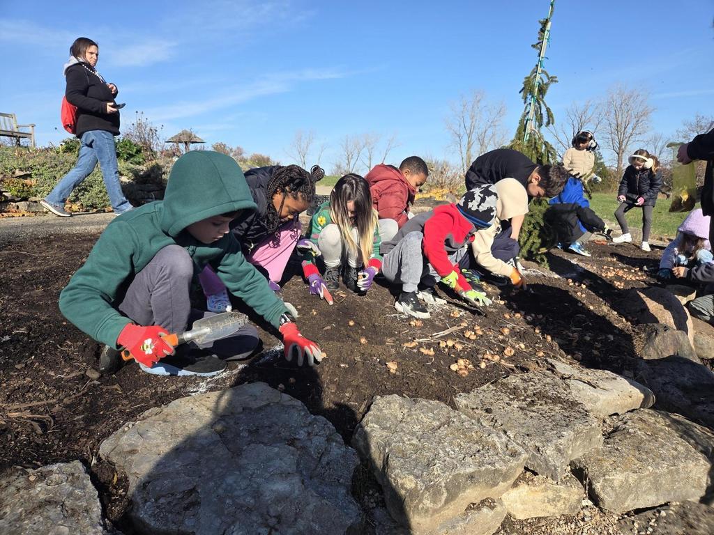 Bauer 2nd Graders plant bulbs at Cox Arboretum