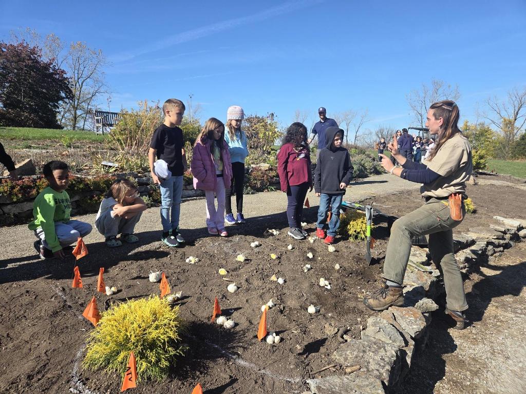 Bauer 2nd Graders plant bulbs at Cox Arboretum