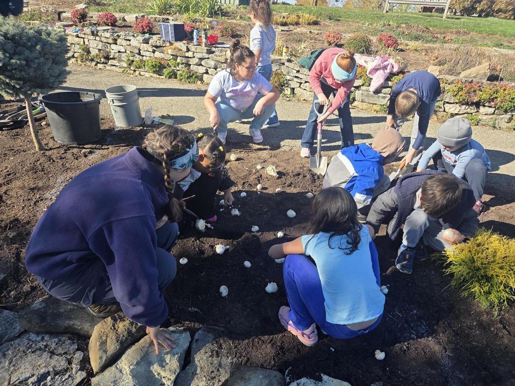 Bauer 2nd Graders plant bulbs at Cox Arboretum