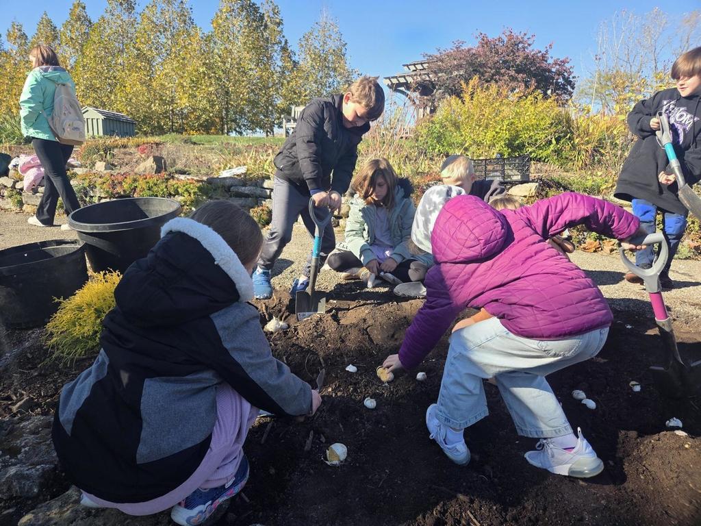 Bauer 2nd Graders plant bulbs at Cox Arboretum
