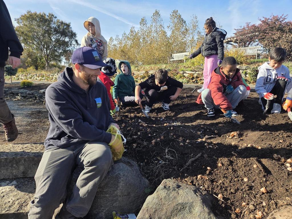 Bauer 2nd Graders plant bulbs at Cox Arboretum