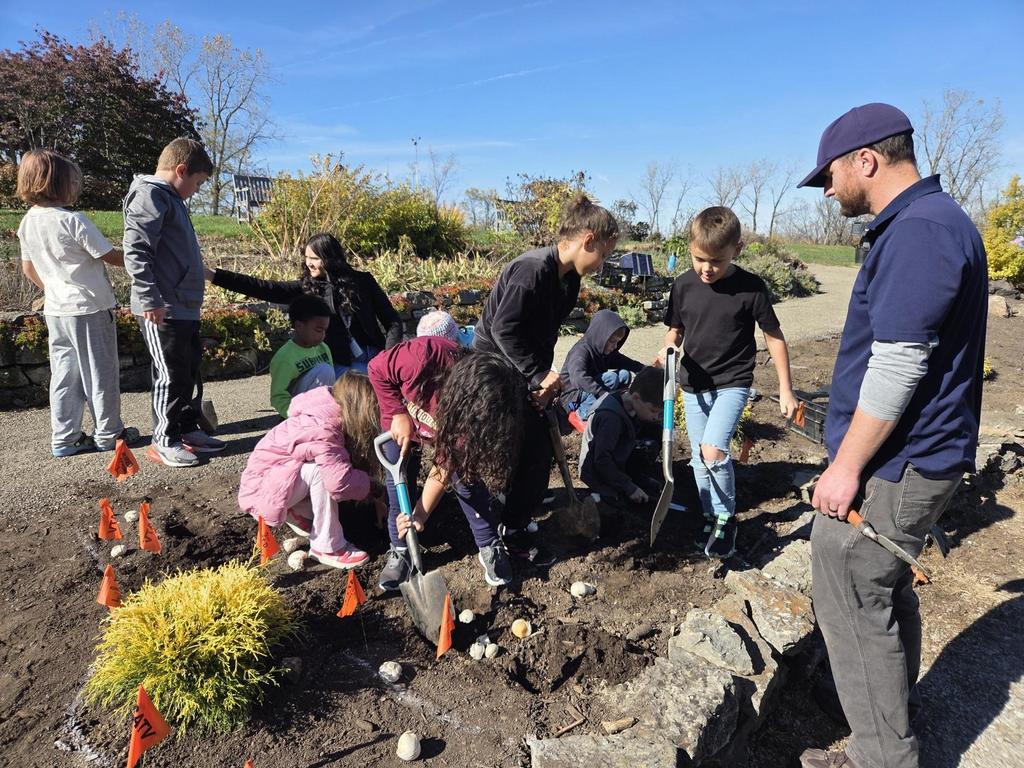 Bauer 2nd Graders plant bulbs at Cox Arboretum