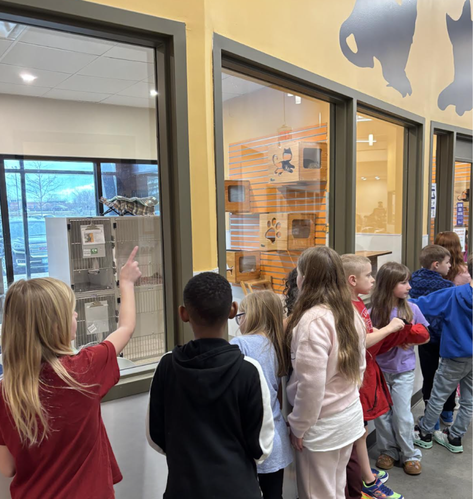 Several children look at animals through glass windows. A yellow wall has cat drawings.