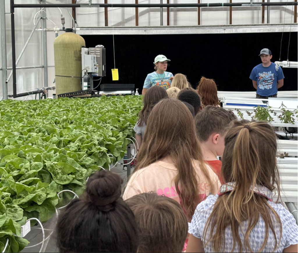 A group of people observe a hydroponic farm. A man in a blue shirt stands at the back.