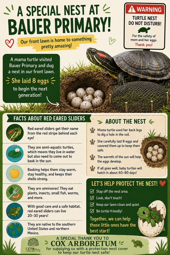 Graphic shows a turtle nest with eggs on a lawn with text about the species and a warning sign.