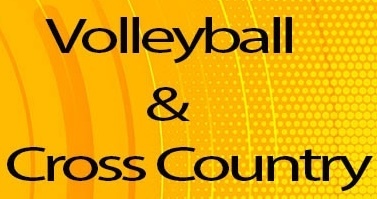 Volleyball & Cross Country on a yellow patterned background