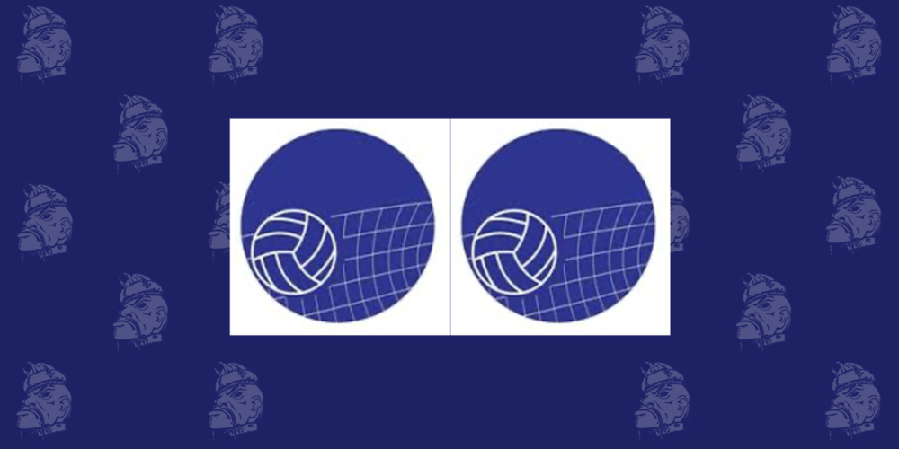 Two blue volleyballs and net