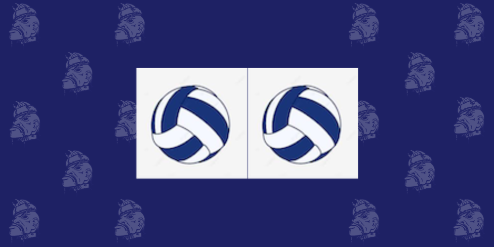 Two Blue and white volleyballs on a tartars navy blue background