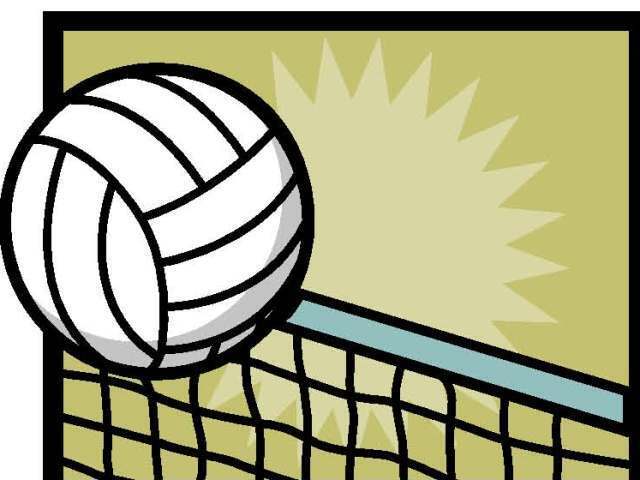 volleyball with net