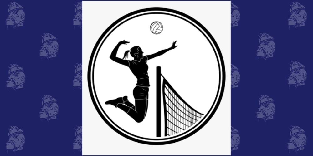 person spiking a volleyball