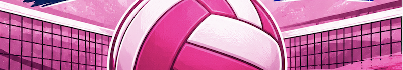 All pink volleyball on a net