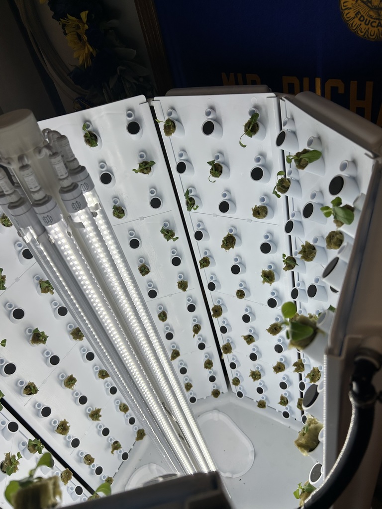 Flex Farm growing its harvest