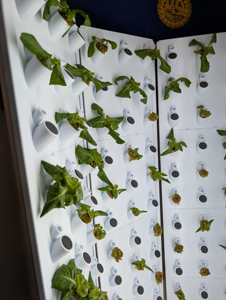 Flex Farm growing its harvest