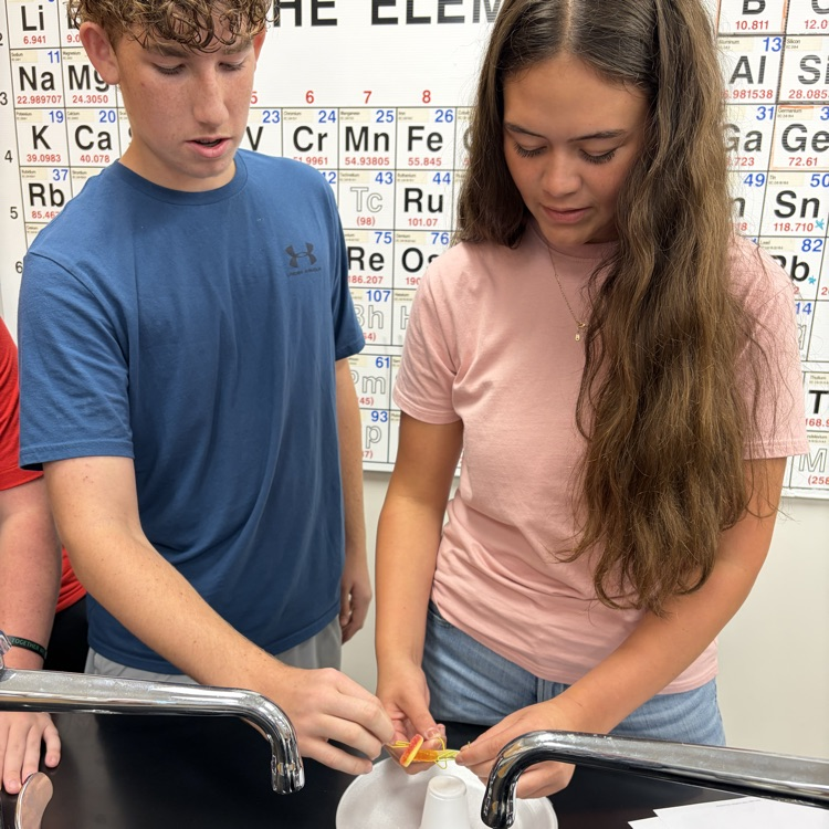 students working on a project