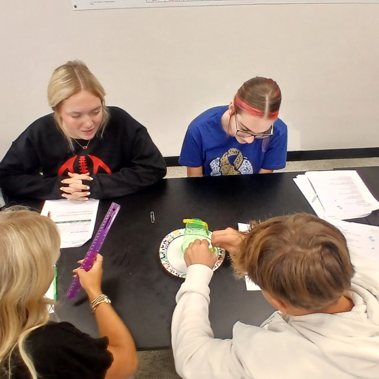 students working as a team on a science lab