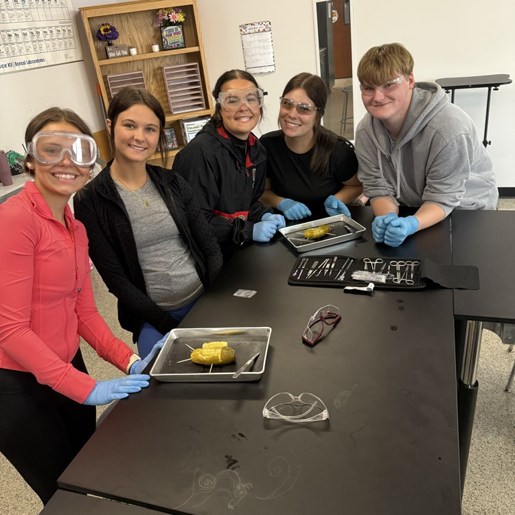 5 students practicing dissection
