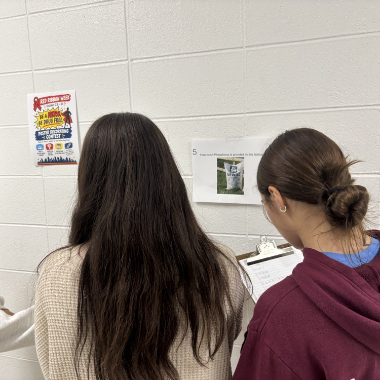 two girls analyzing a picture on the wall