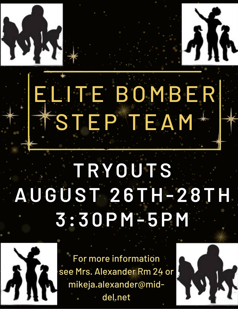 Bomber Step Team