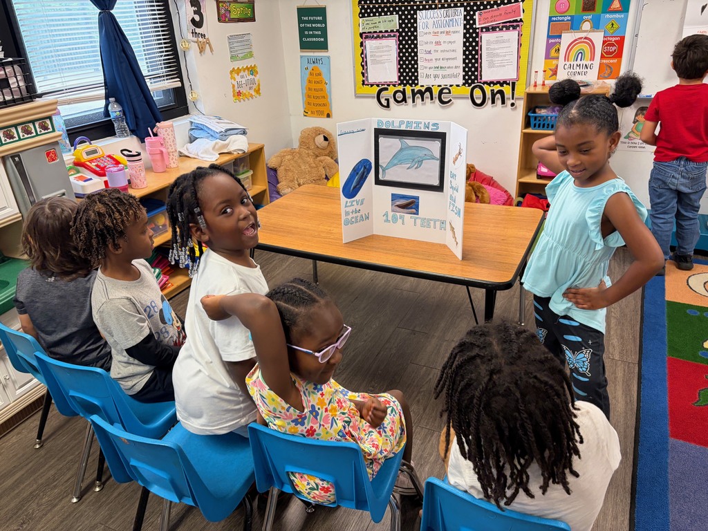 dolphin presentation