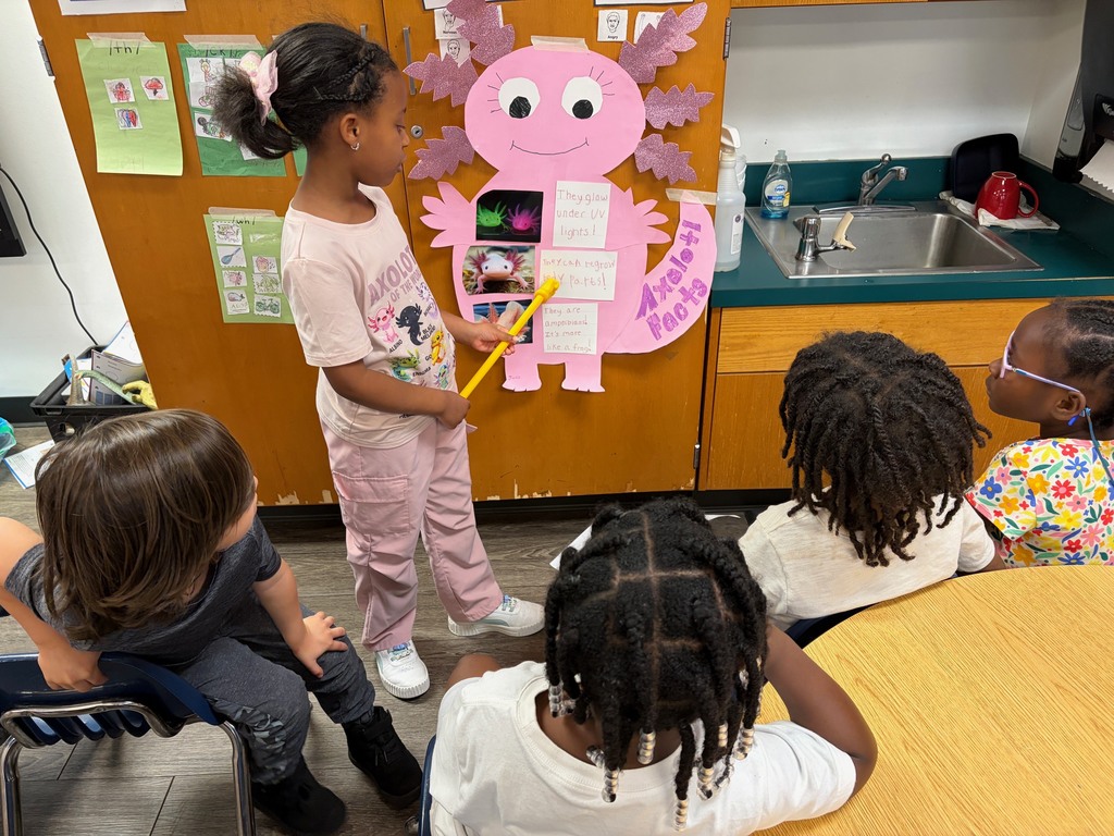 axolotl presentation