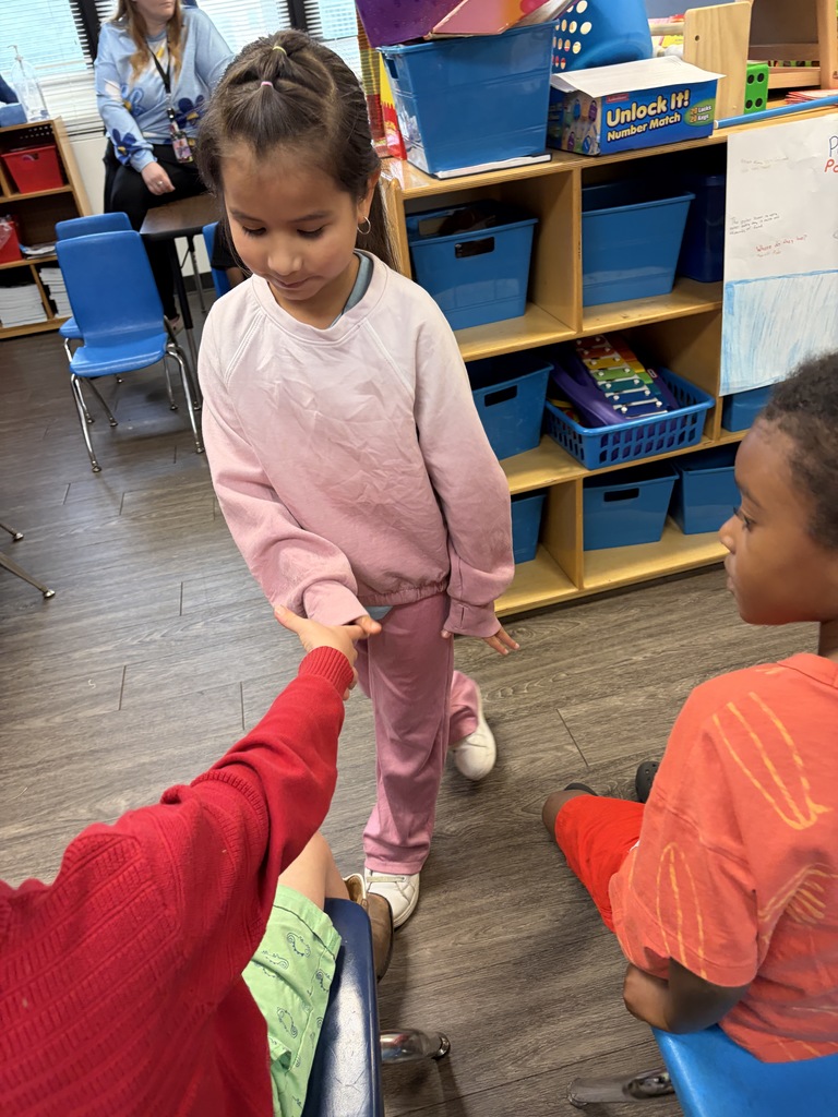 polar bear presentation