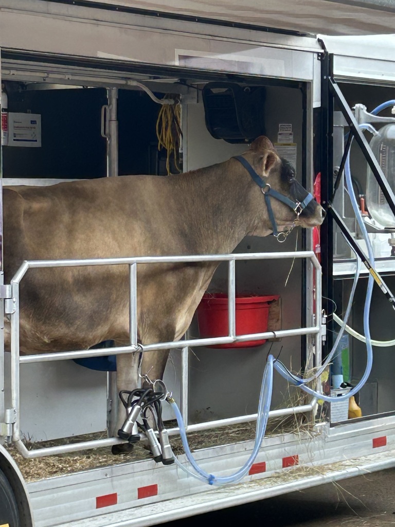 Southwest Dairy Farmers brought a dairy cow for their Mobile Classroom presentation. 