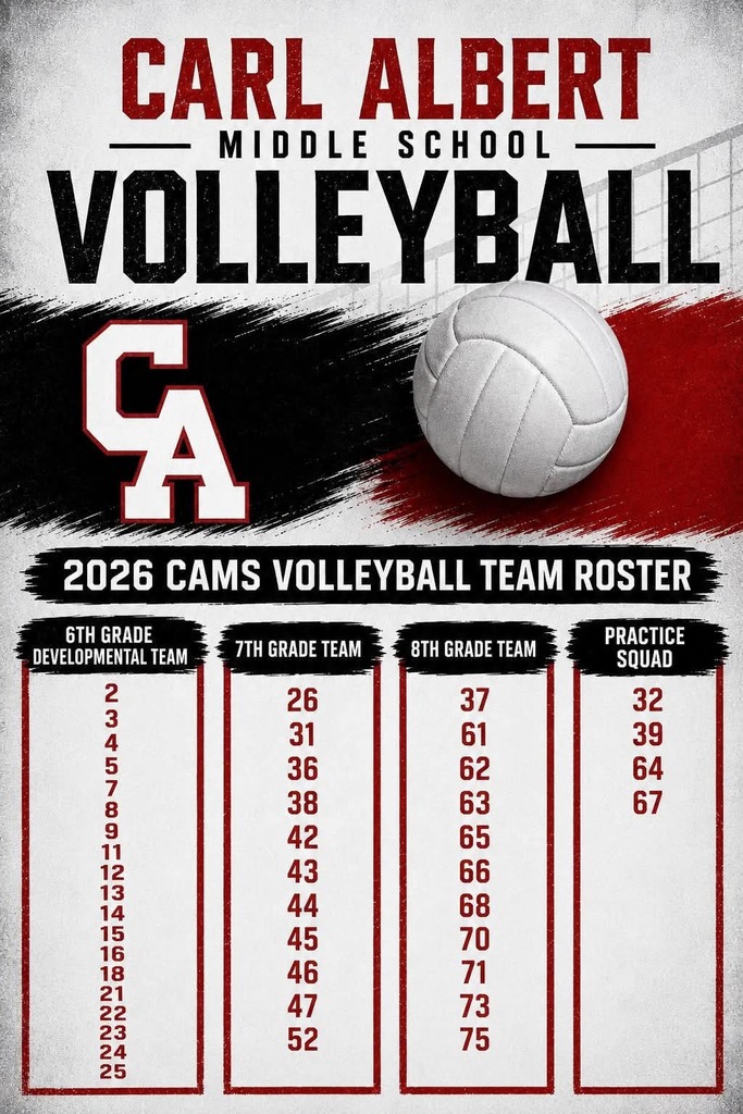 CAMS Volleyball Teams