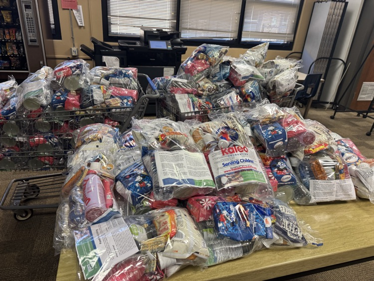 teacher bags