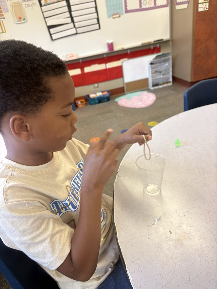 science experiment