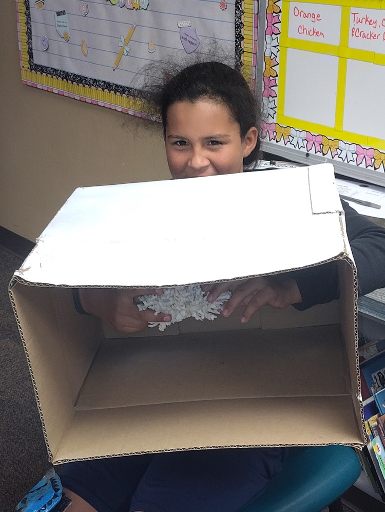 5 Senses Box