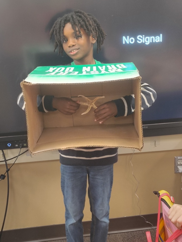 5 Senses Box