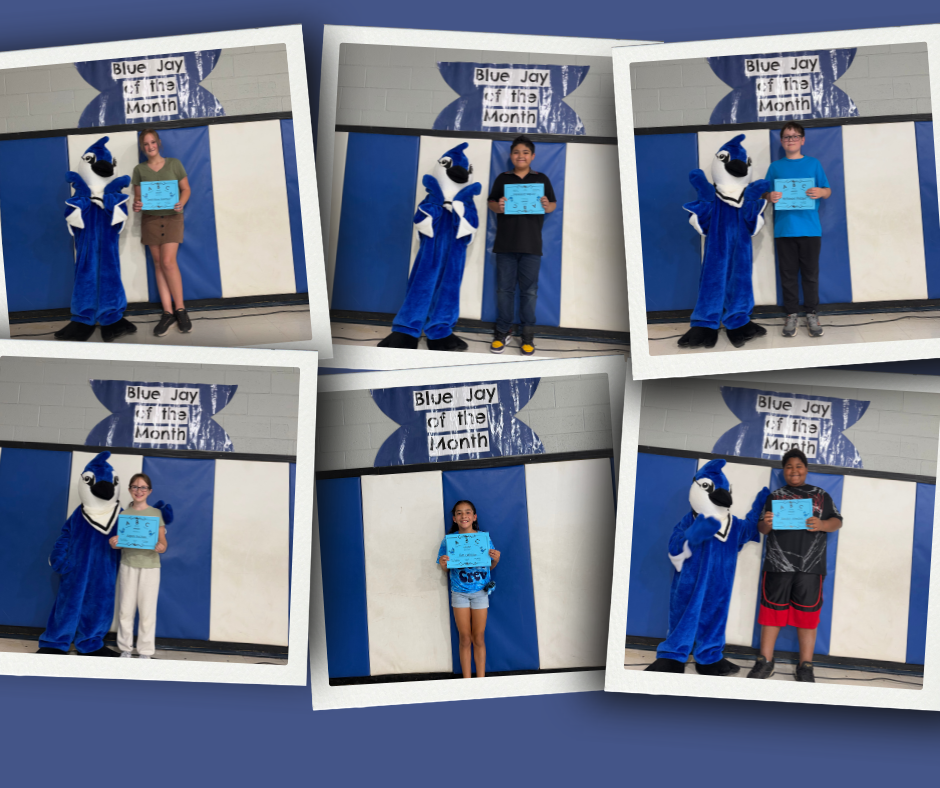 A collage of six photos. Each photo shows a mascot and four students, all holding blue signs with writing.