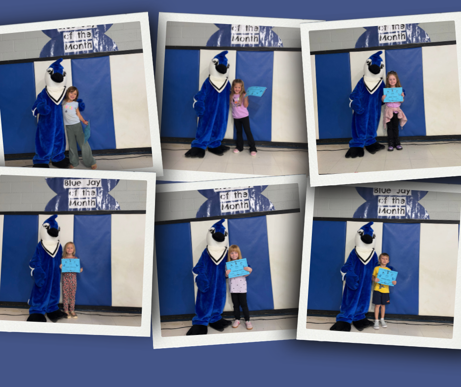 Four photos show students standing next to a mascot. Each photo features a student holding a blue sign.