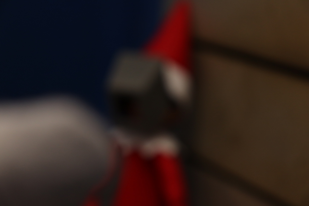 blurry photo of elf