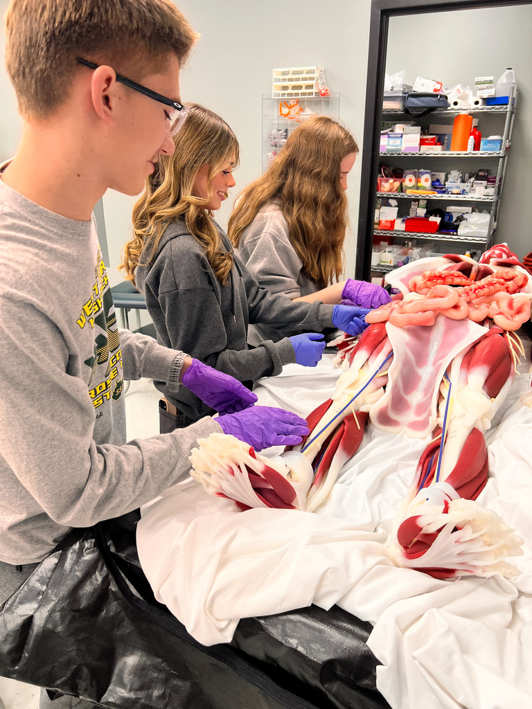 students examining mannequin