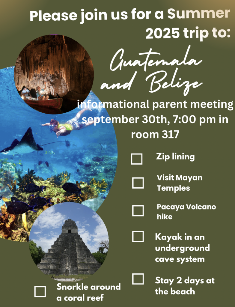 Summer Trip Flyer