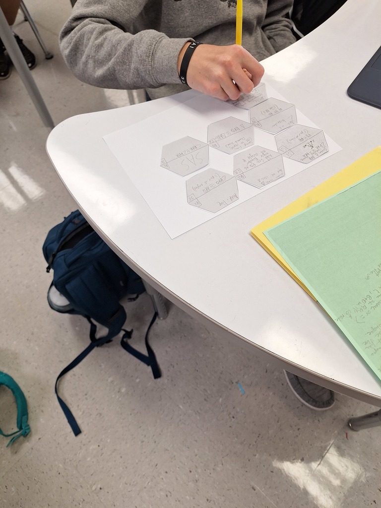 Student worksheet