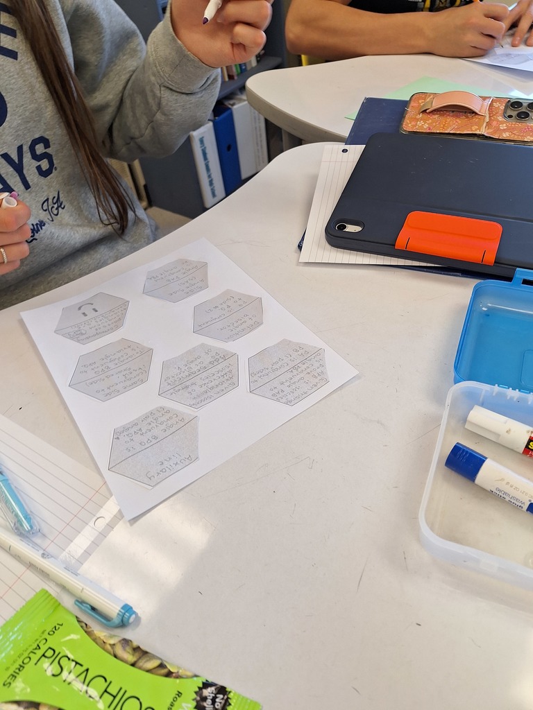 Student worksheet