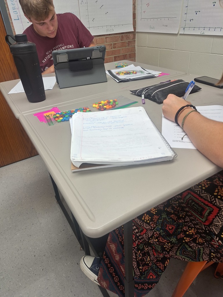 Students working