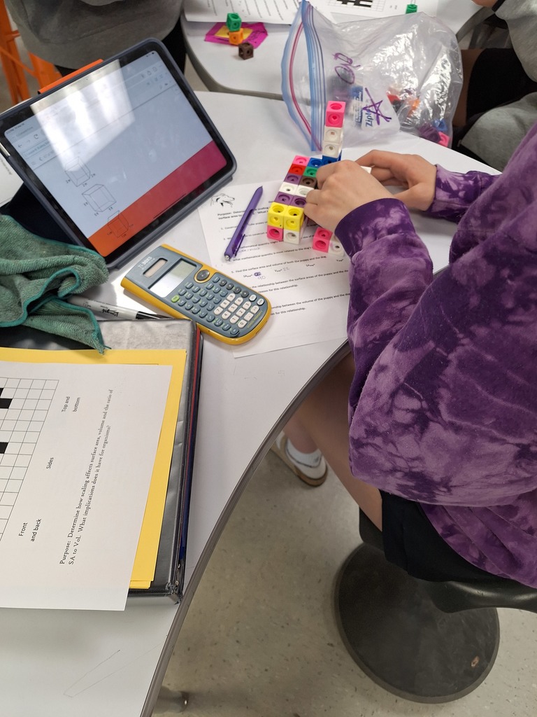 Students working with cubes