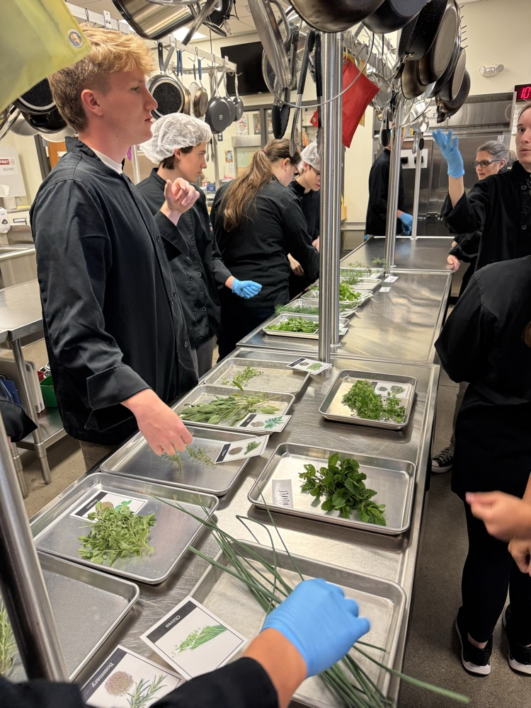 students identifying herbs