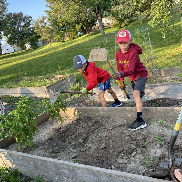 students working in the garden 