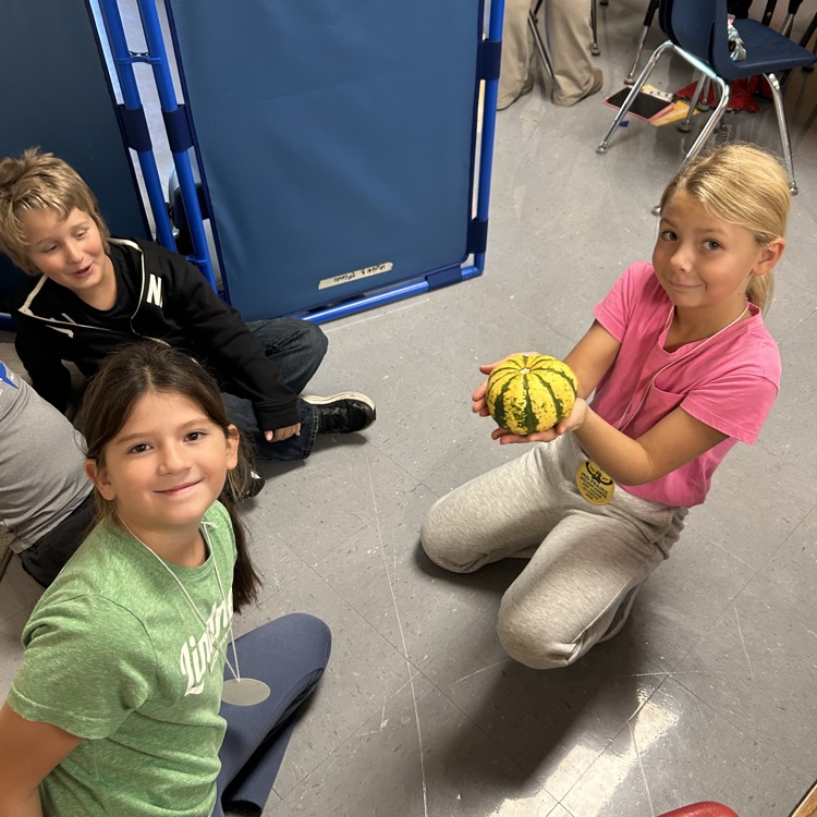#mphawks