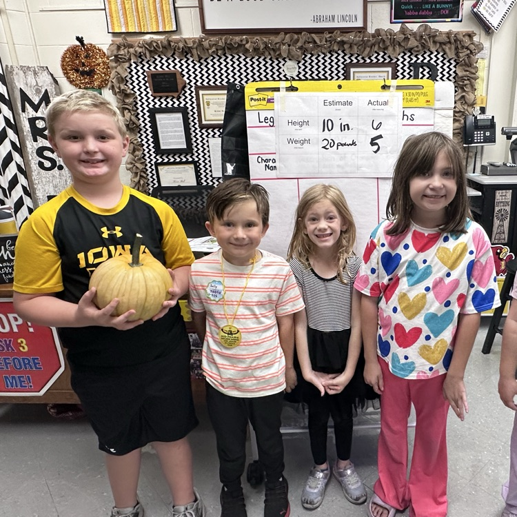#mphawks
