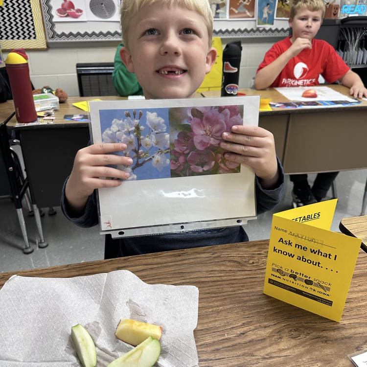 #mphawks