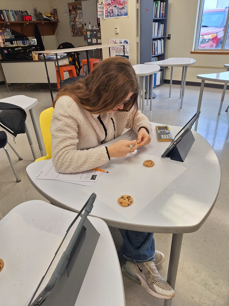 Student counting chocolate chips