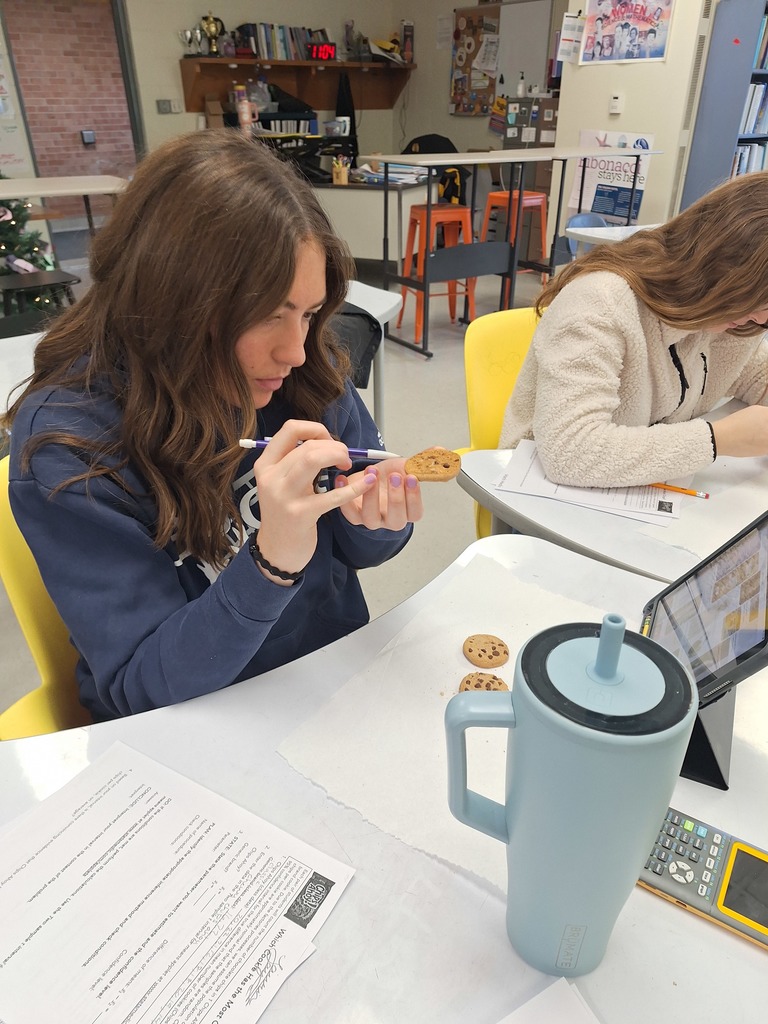 Student counting chocolate chips