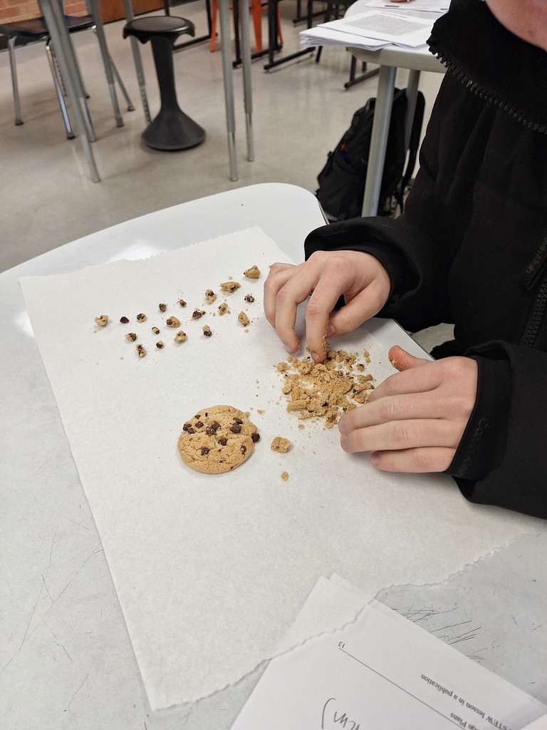 Student separating chips from cookie